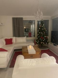Villa White Christmas - Rovaniemi - 8