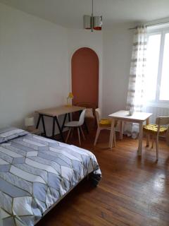 Superbe appartement sur cour arborée - Dijon - 7