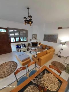Joy's House - Dhesfína - 9