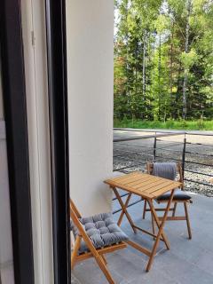 Vožd Apartman Divcibari - Divčibare - 3