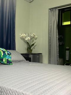 Luxury Jungle on a budget Wisdom BnB - Carrillo - 4