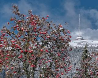 Chaty Malá Morávka - 2