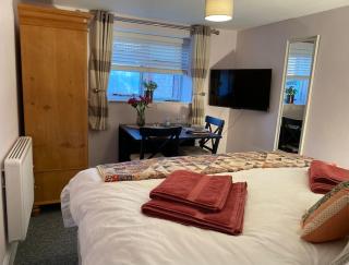 Cygnet Studio - Dingestow - 4