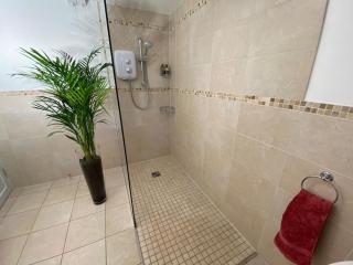 Cygnet Studio - Dingestow - 1