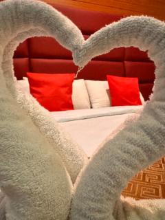 Airport Transit KINGS HOTEL - Katunayaka - 3