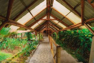 Finca Las Palmas Ecolodge - 2