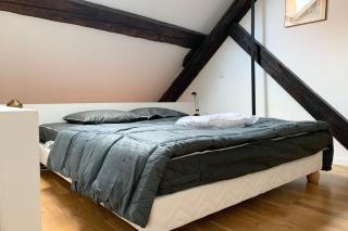 #D9 The Vaucanson's Alcôve Historic center Place Vaucanson - 5