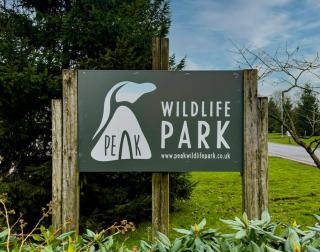 Denstone, woodland lodge with hot tub for 8 - Oakamoor - 5