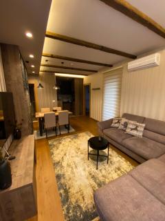 Zlatibor Golden Lux Apartment - Zlatibor - 9