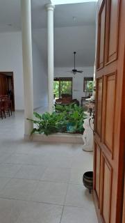Villa Guavaberry - Paraíso - 5