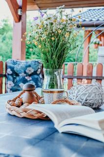 Domki nad Strumykiem-Solina - 1