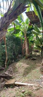 La dulce Casita - Uvita - 2