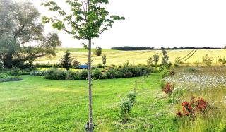Vier Winde - Ferienanlage Usedom - Krummin - 8