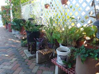 Cozy Studio Apartment-Free airport pickup and drop off - 4