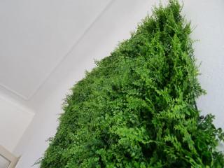 Green House - soli 5 minuti dalla metropolitana - Milan - 5