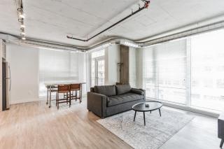 Brand new 2BR 3BA combined apartments with city views - Cleveland - 2