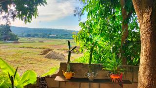 Bunnum Homestay - - 0
