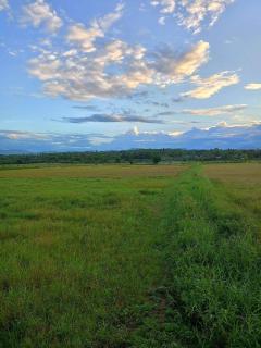 BaanlungchuHomestay&Cafe - Amphoe Mae Taeng - 7