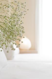 Anthemis Luxury Villas - Lygia - 5