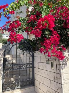 Apartments and rooms with parking space Plat, Dubrovnik - 23567 - Mlini - 2