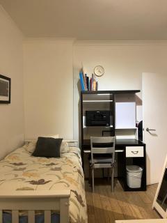 Battersea 2 Bedroom 2 Toilet Flat - Londra - 1