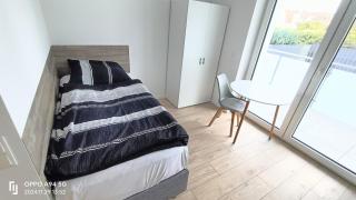 FMI28 Deluxe Studio-Apartments - Mörfelden-Walldorf - 4