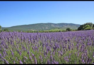 Hôtel Select - Salon-de-Provence - 4