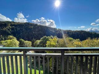 Appartement cosy 2 pièces avec balcon sud, rénové proche commodités - FR-1-505-215 - 9