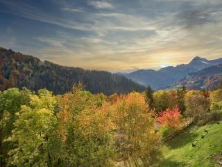Appartement cosy 2 pièces avec balcon sud, rénové proche commodités - FR-1-505-215 - 1