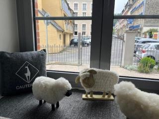 Chalet élégant au centre de Cauterets avec terrasse - FR-1-812-51 - 4