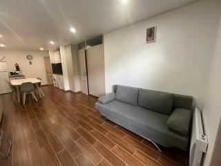 Châtel : Appart 6 pers, Parking, Accès WIFI - FR-1-198-267 - Châtel - 4