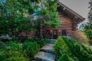4000 Sq Ft Waterfront Dream Cabin - Stokes Bay - 7