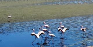 Nikita's Holiday Home - Walvis Bay - 2