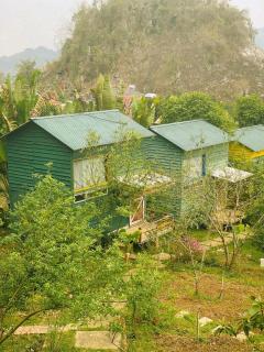 Stella Mộc Châu homestay - Mộc Châu - 6