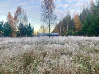 Przystanek Naglady Warmia- całoroczny, duża leśna działka - - 7