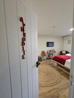 Chambre d'hôte Aphrodite - Sainte-Geneviève-des-Bois - 7