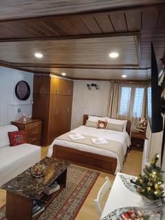 Ververitsa's House - Metsovo - 9