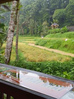 Bucu Riverside - 5
