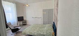 Studio 40m2 Contemporain Rez de Chaussé - Le Teil - 8
