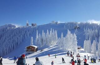 Studio In Poiana - Poiana Brasov - 0