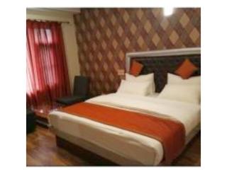TAJ RESIDENCY ,Srinagar, Kashmir - Srinagar - 6