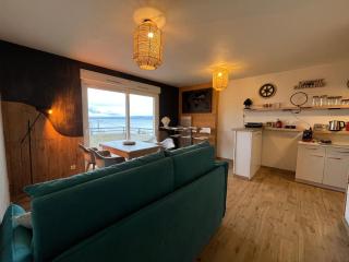 Appartement avec piscine et parking à Évian-les-Bains - FR-1-498-109 - Évian-les-Bains - 8