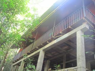 Birds Paradise Hotel - Kudawe - 1