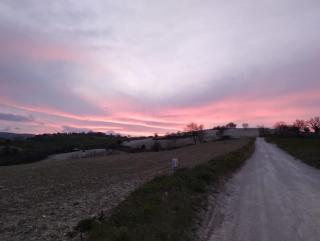 CASAL DEL SOLE - Il Gelso - Montefelcino - 5