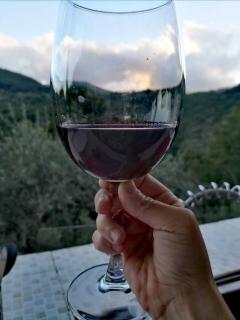 Palazzo del Baglivo Cilento Hotel & Spa - Sessa Cilento - 2