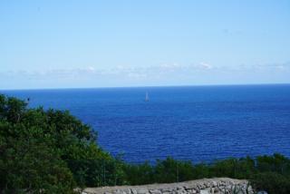 Villa Artista - Gagliano del Capo - 6