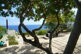 Villa Artista - Gagliano del Capo - 2