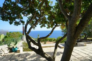 Villa Artista - Gagliano del Capo - 1