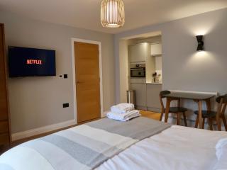 Stylish Studio Apartment, ensuite, kitchenette - Twickenham - 9