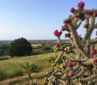 Villa Dell' Artista - Villa Anna - Santarcangelo di Romagna - 3